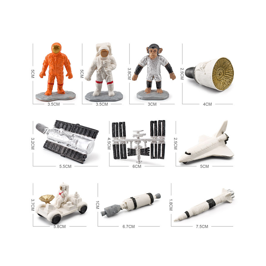 Realistic Human Organs Ancient - Kids Toys Egypt recension och pris