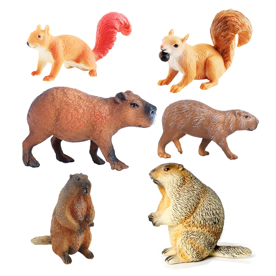Capibara Capybaras Squirrel Ma - Kids Toys Reviews recension och pris