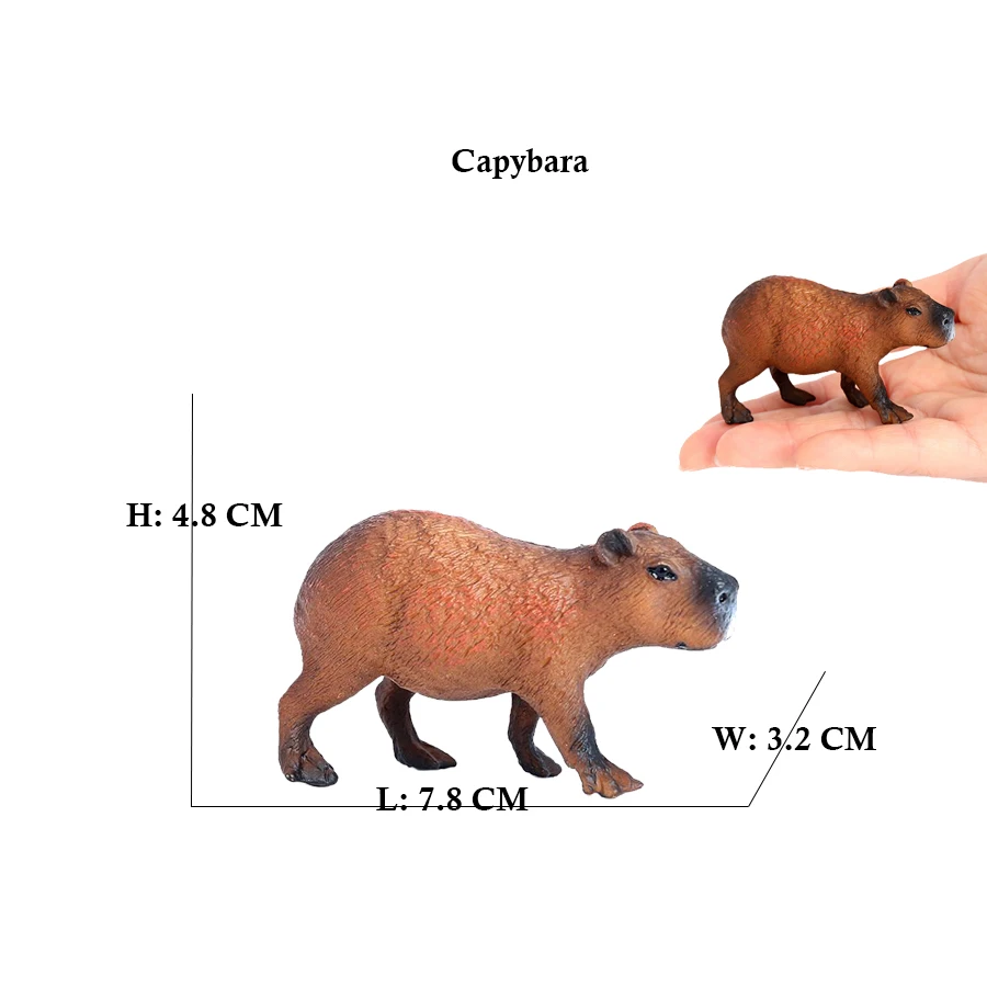 Capibara Capybaras Squirrel Ma - Kids Toys Reviews recension och pris