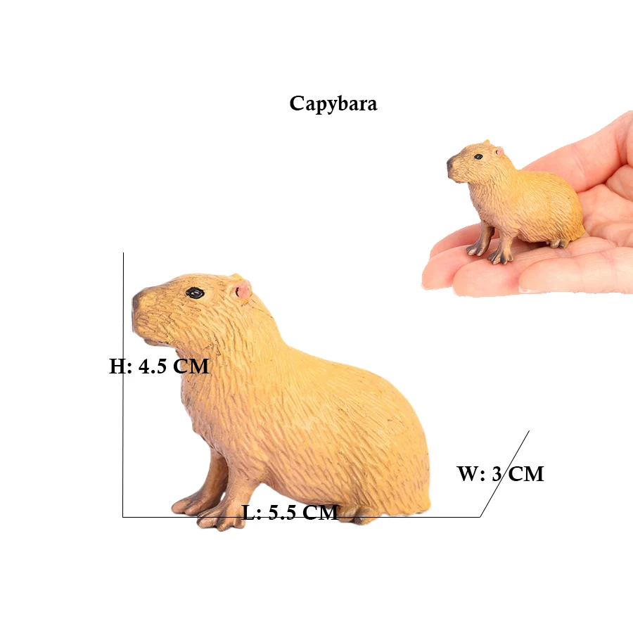 Capibara Capybaras Squirrel Ma - Kids Toys Reviews recension och pris