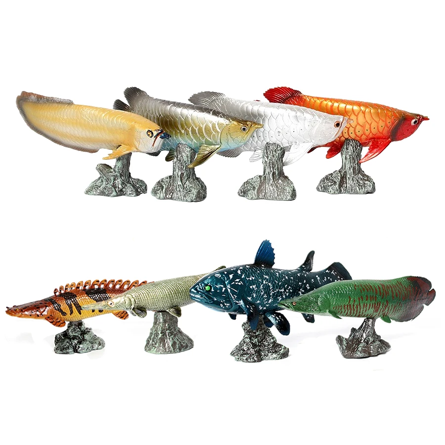 Arowana Pirarucu Coelacanth Bi - Kids Toys Reviews recension och pris