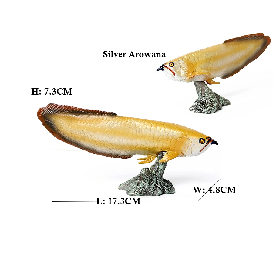 Arowana Pirarucu Coelacanth Bi - Kids Toys Reviews recension och pris