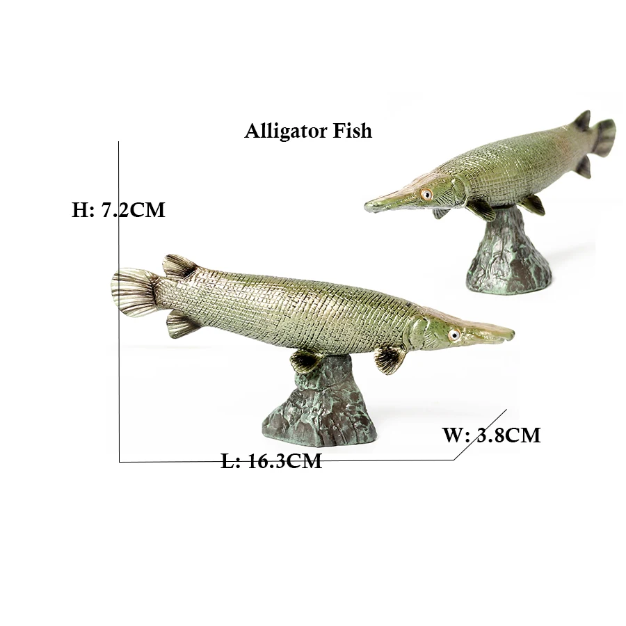 Arowana Pirarucu Coelacanth Bi - Kids Toys Reviews recension och pris