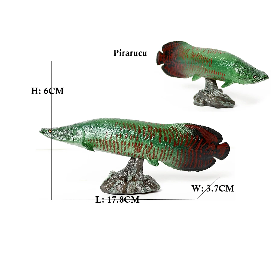 Arowana Pirarucu Coelacanth Bi - Kids Toys Reviews recension och pris