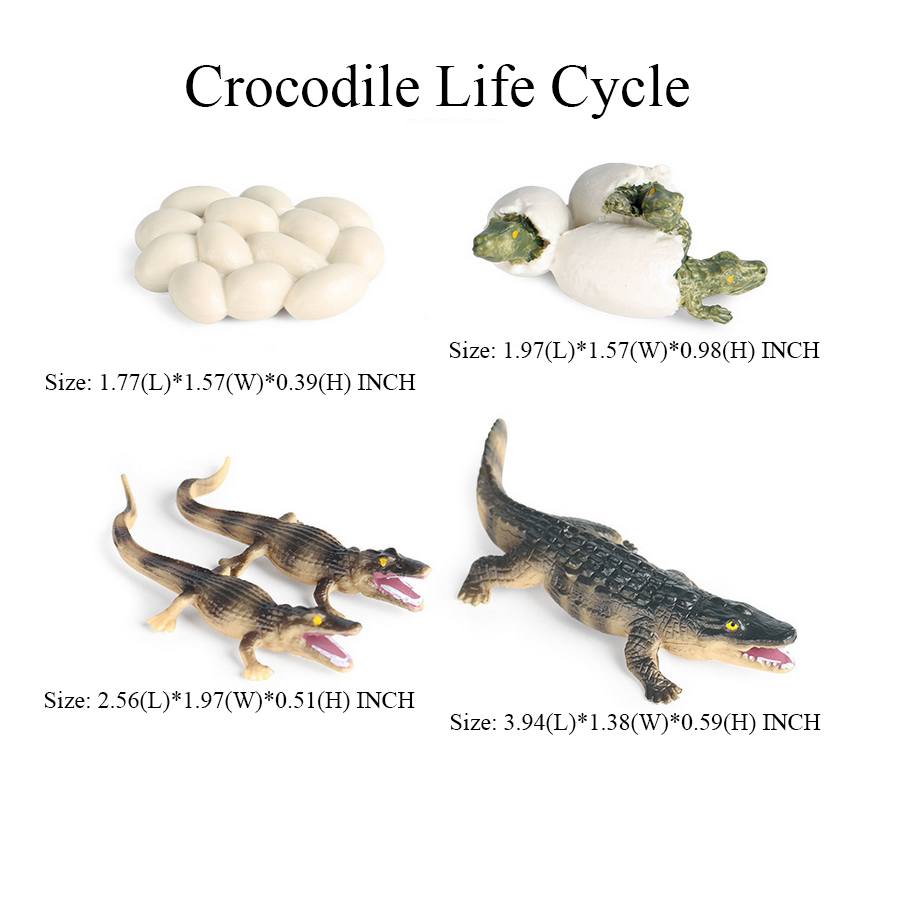 Toy of crocodile Figure Toys A - Kids Toys Reviews recension och pris