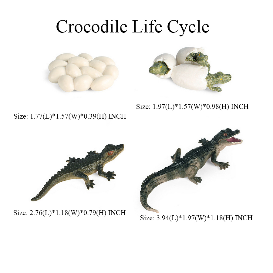 Toy of crocodile Figure Toys A - Kids Toys Reviews recension och pris