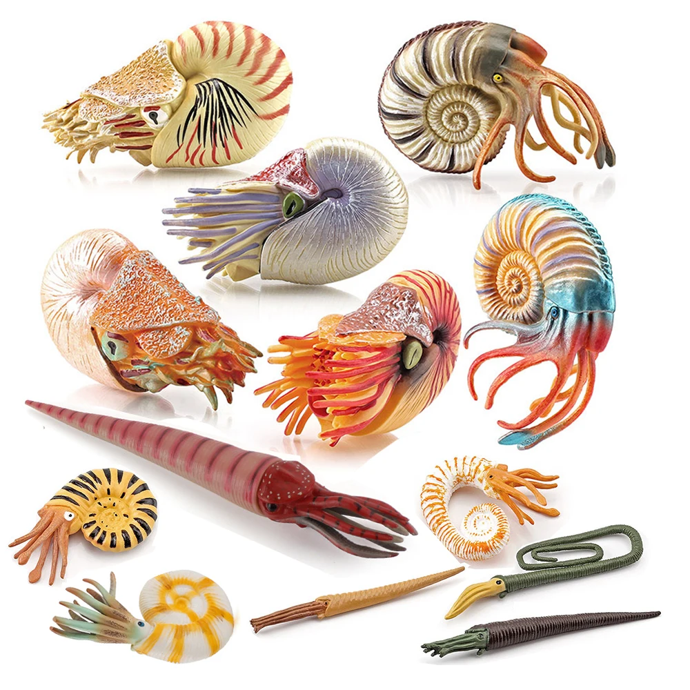 Marine Toy Animals Nautilus Fi - Kids Toys Reviews recension och pris